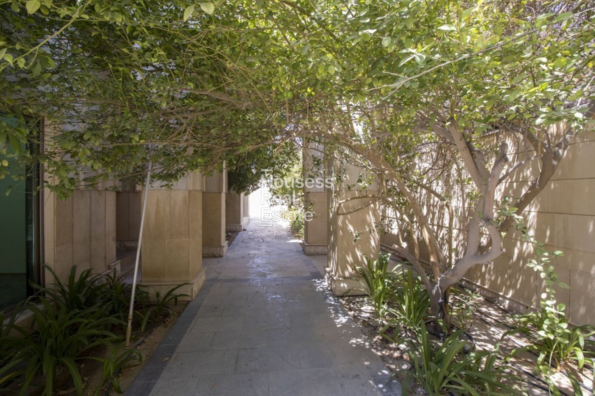 Photograph 25