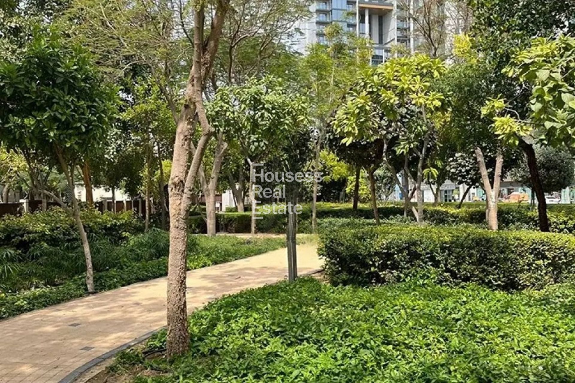 Photograph 9