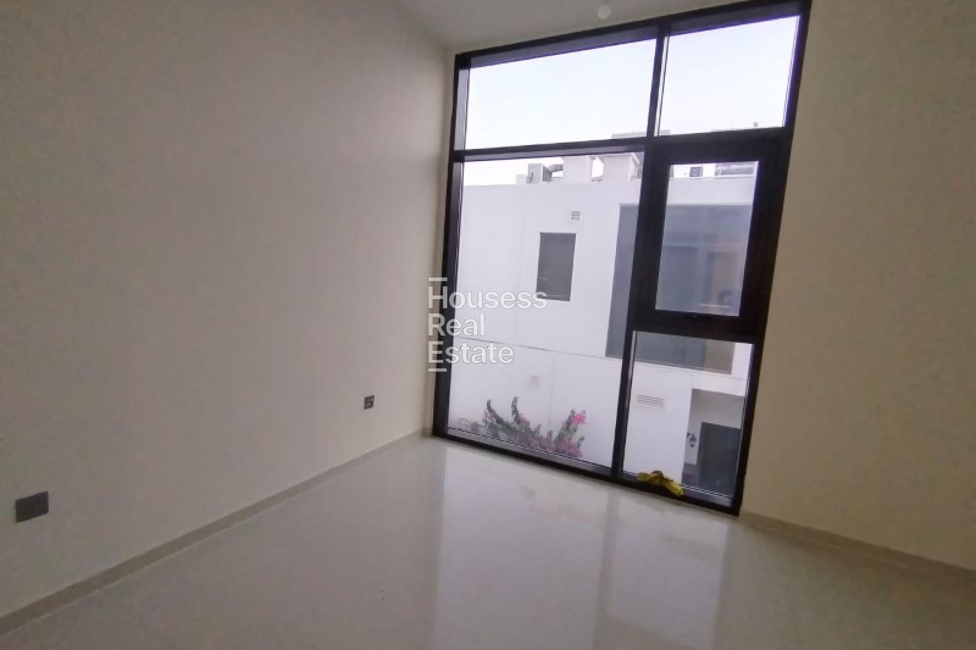 Photograph 11